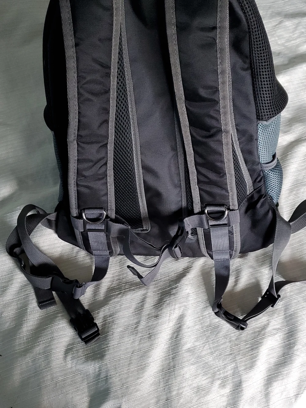N/A straps adjustable
